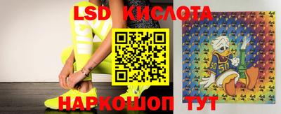 индика Донецк