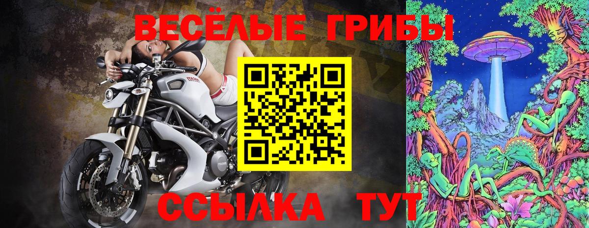 Псилоцибиновые грибы Psilocybe  Вход с VPN  купить  цена  Озёры 